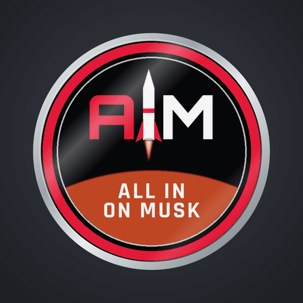AIM Logo Pin preview